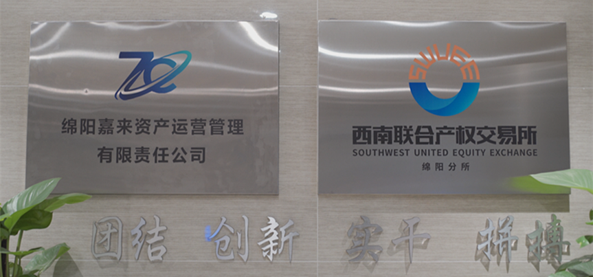绵阳嘉来资产运营治理有限责任公司