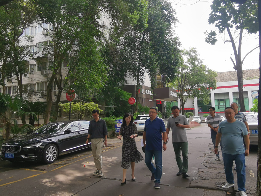 集团党委委员、副总司理倪丹带队检查资产公司统领资产_副本